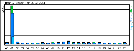 Hourly usage