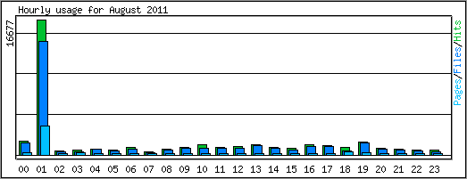 Hourly usage