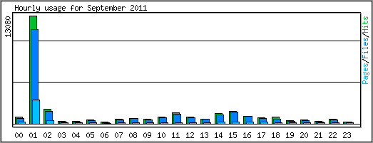 Hourly usage