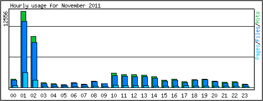 Hourly usage