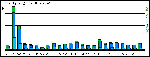 Hourly usage