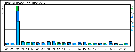 Hourly usage