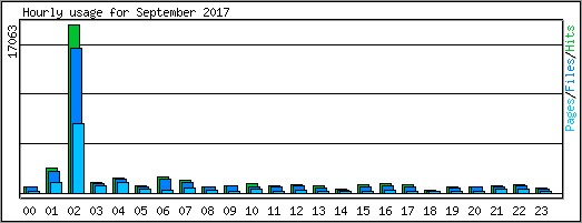 Hourly usage