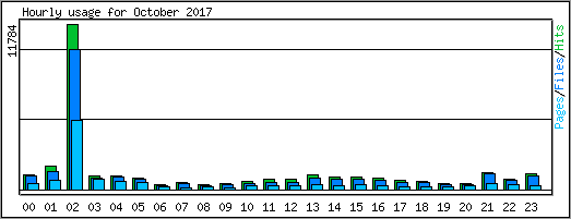 Hourly usage