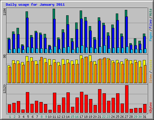 Daily usage for January 2011