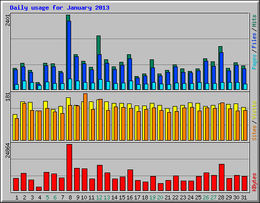 Daily usage for January 2013