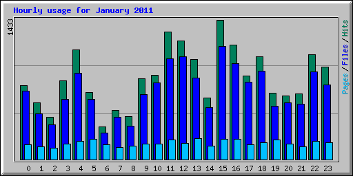 Hourly usage for January 2011