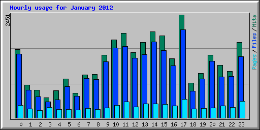 Hourly usage for January 2012