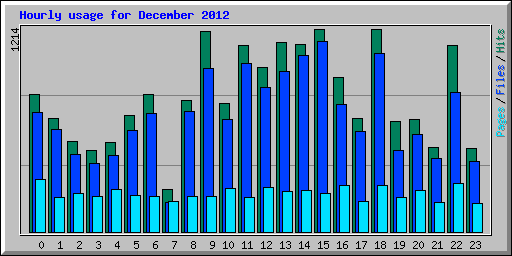 Hourly usage for December 2012