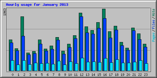 Hourly usage for January 2013