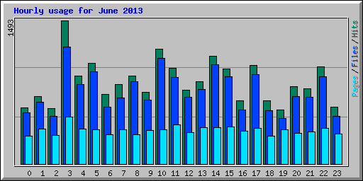 Hourly usage for June 2013