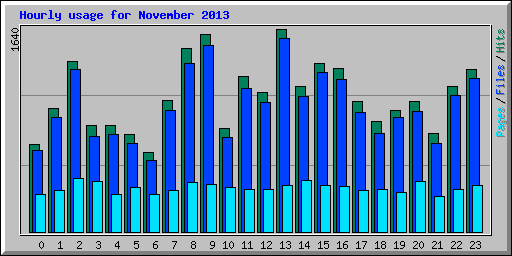 Hourly usage for November 2013