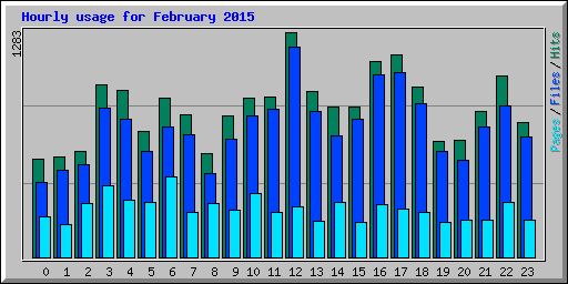 Hourly usage for February 2015